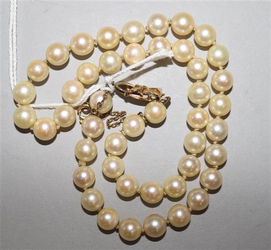 A single strand cultured pearl necklace with 9ct gold clasp, 38cm.